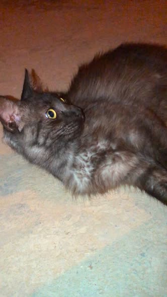 tina