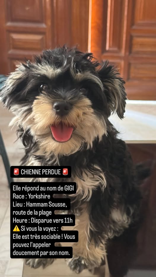 GIGI