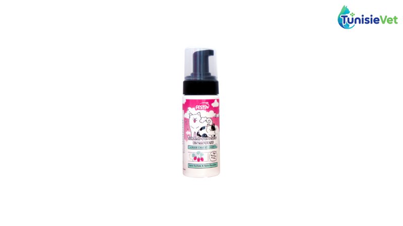 ✨ Shampoing Sec en Mousse FESTIN 150 ml – Bain Express Sans Rinçage