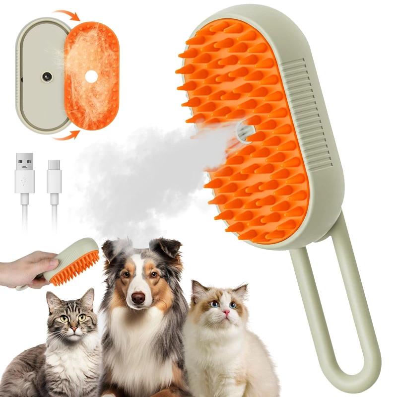 BROSSE A VAPEUR