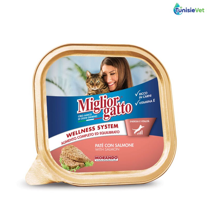 MigliorGatto Saumon 100gr