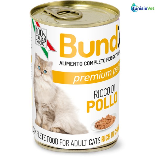 BUNDY CAT CHICKEN 400 GR