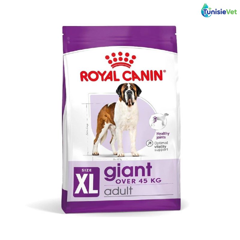 SHN Royal canin CHIEN Giant Adult 15 Kg