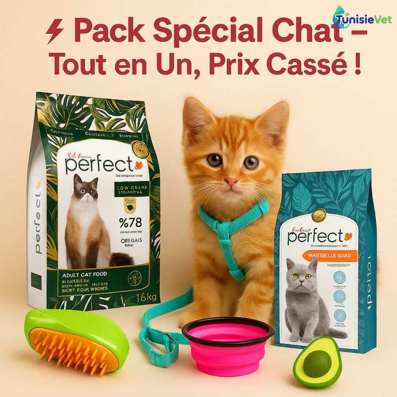 Pack complet pour le bien-être de votre chat