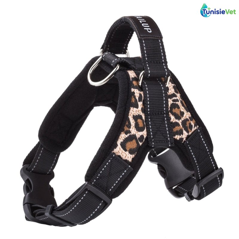 Harnais K9 Ultra – Puissance, Style & Confort pour Chiens Actifs taille L