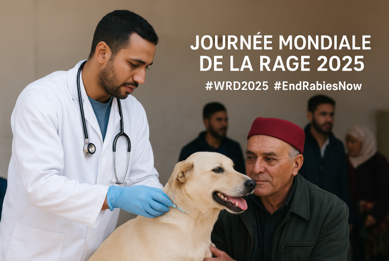 TunisieVet - Mobilisation exceptionnelle des vétérinaires tunisiens : Ensemble pour éradiquer la rage en 2025 🐾