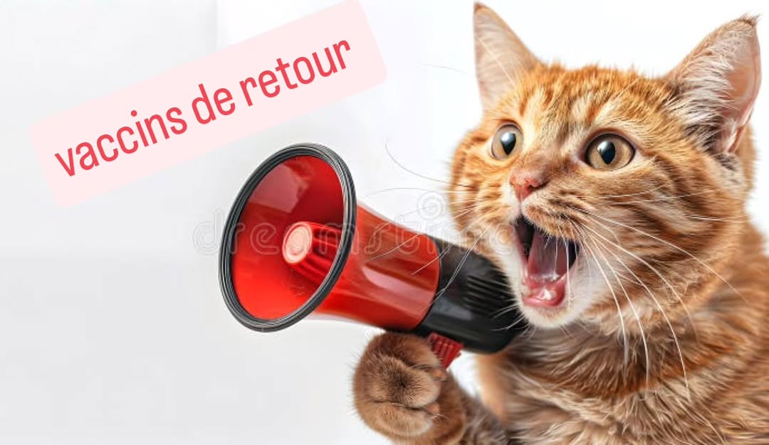 📢📢 🎉🎉 Bonne nouvelle pour nos amis f...