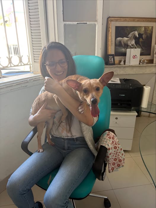 #dogs #dogsofinstagram #dog #puppy #dogs...