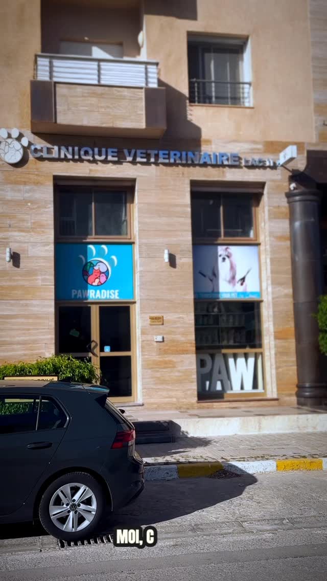 🐾 Coucou, c’est Nougat !
Aujourd’hui, j...