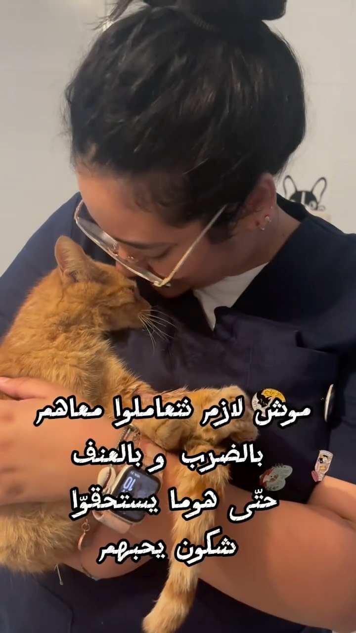 ⁨	نجيب 🩷✨⁩