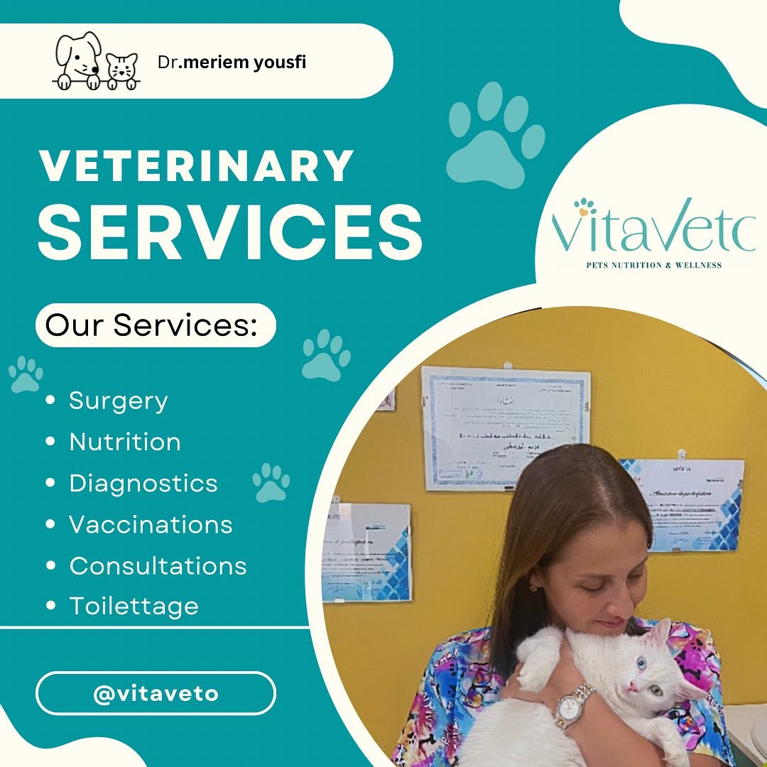 « Entre science et tendresse, chaque soin devient un acte d’amour. 🩺🐾
Parce qu’ici, on soigne les animaux… mais on veille surtout sur des âmes. 💛 💚🩵»
— Vitaveto 🐾

#Vitaveto #CliniqueVétérinaire #BienÊtreAnimal #VétérinaireTunisie #AmourAnimal #SoinsAvecLeCœur #NutritionAnimale #PhysiothérapieAnimale #Vétolife #PetCare #HealthyPets