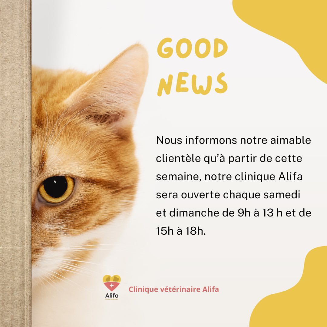 Pour une meilleure prise en charge de vos boules de poils 🤍🤍

📞Pour vos urgences appelez le 26136147 
.
.
.
.
#veterinaire #weekendemergency #weekendpets #pets #animals #pets #dogslife #dogandcats #cats #vetlife #emergency #lovepets #animalshealthcare #petscare #tunisianvets #alifavet 
🐾🐾🐾