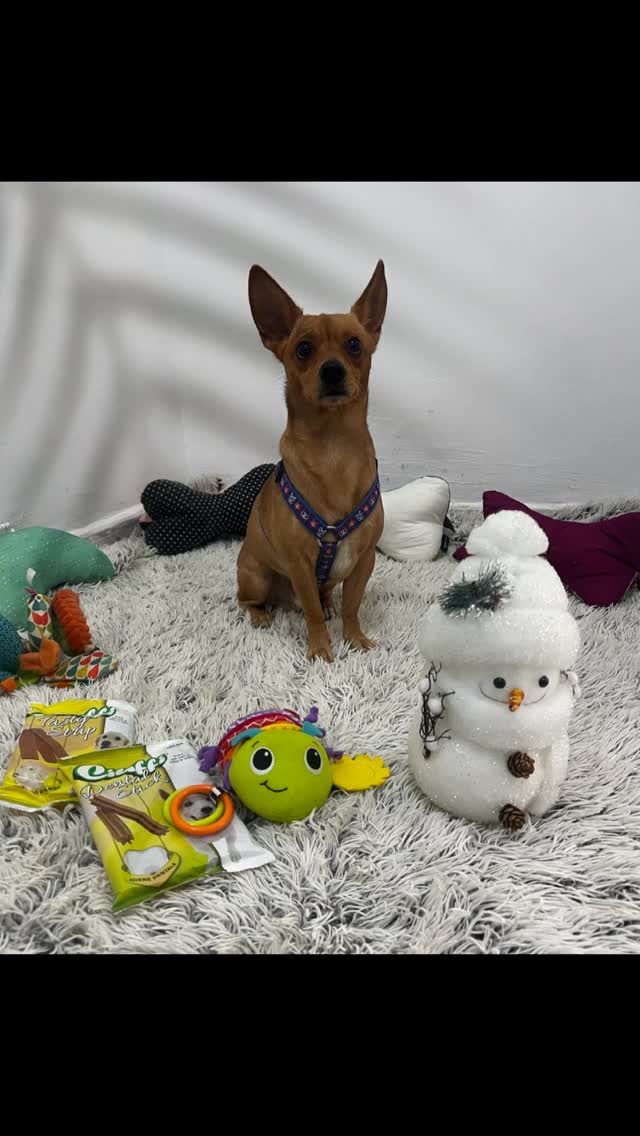 Trop petit pour le monde, mais immense p...