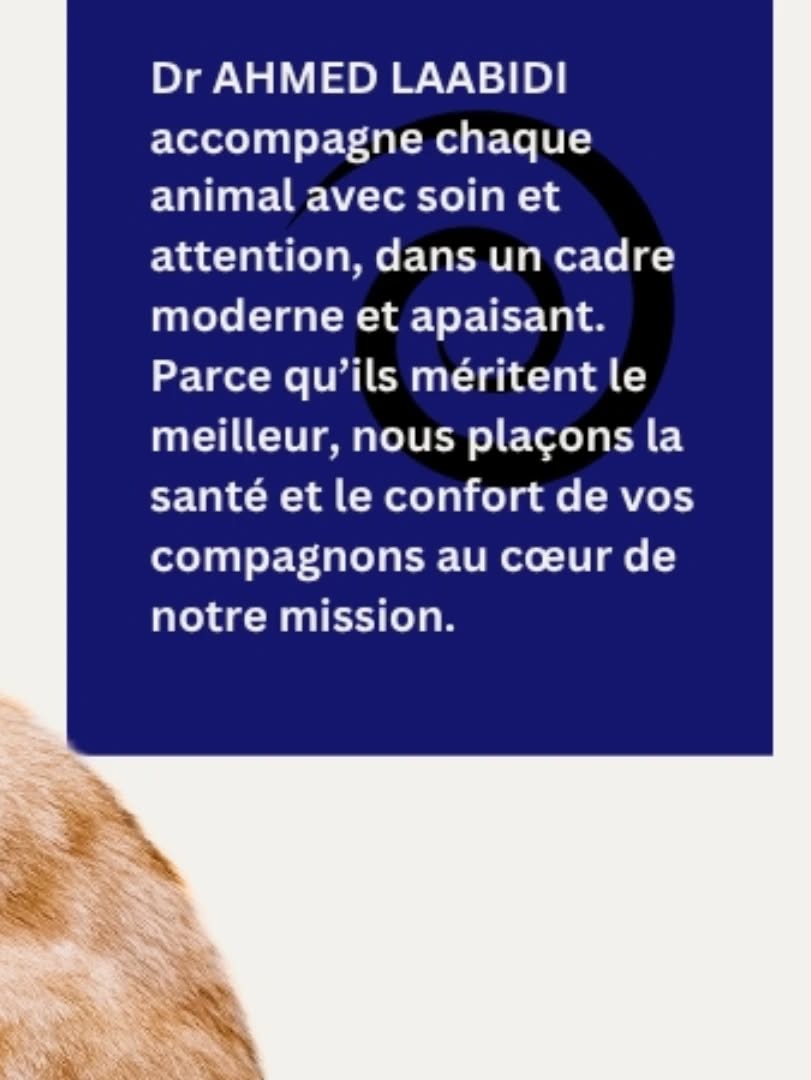 Pas de description disponible