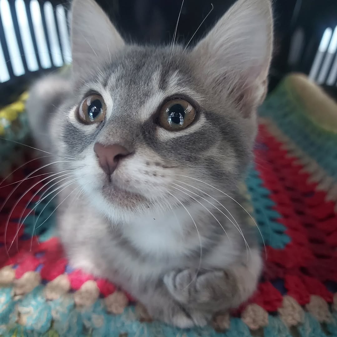 📸 Pic of the Week ⭐️

Notre adorable p...