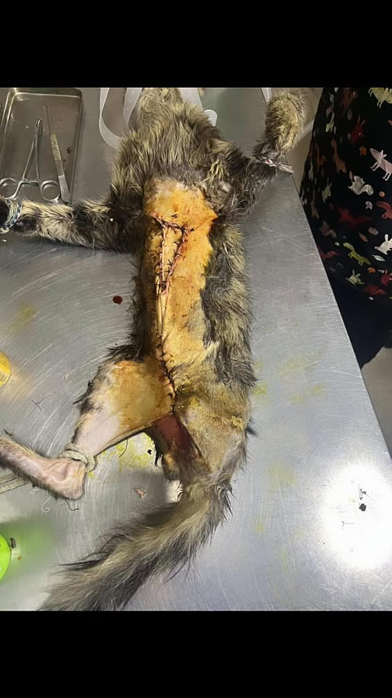 Pas de description disponible