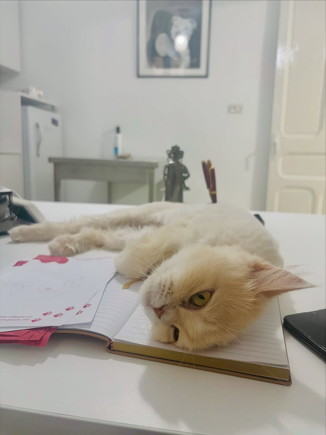 This is my عسلة 🩷🩷