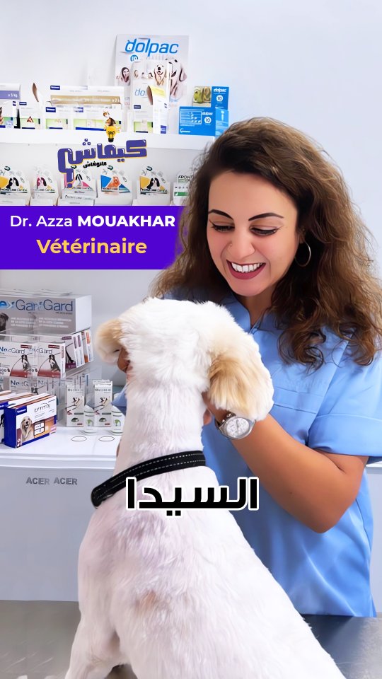 سيدا القطاطس

#catslover #short #veteren...