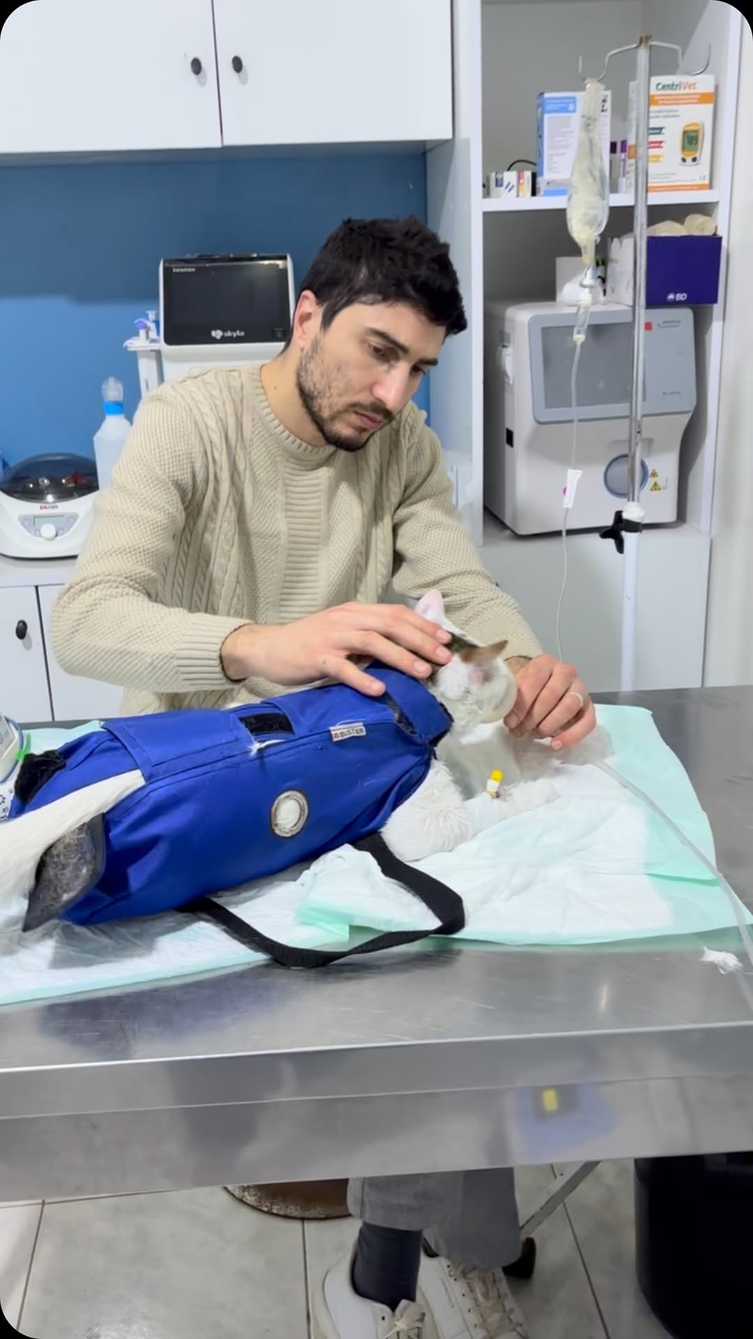 🆘 Intoxication par perméthrine chez le...