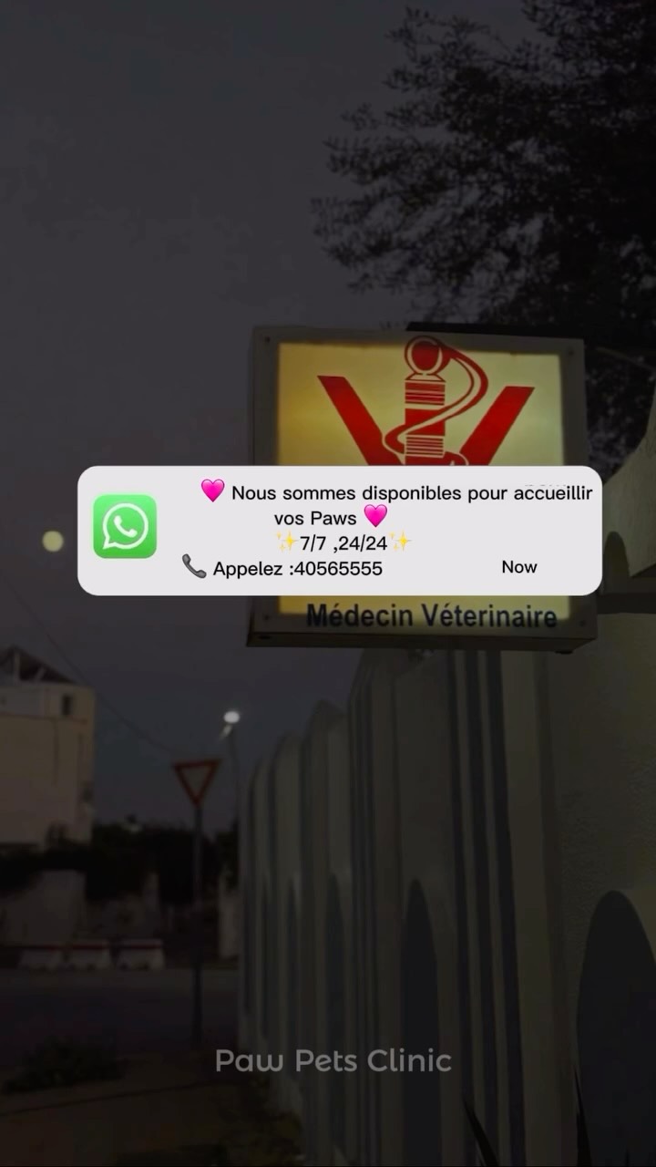 Nous sommes toujours disponibles 🩷🌟