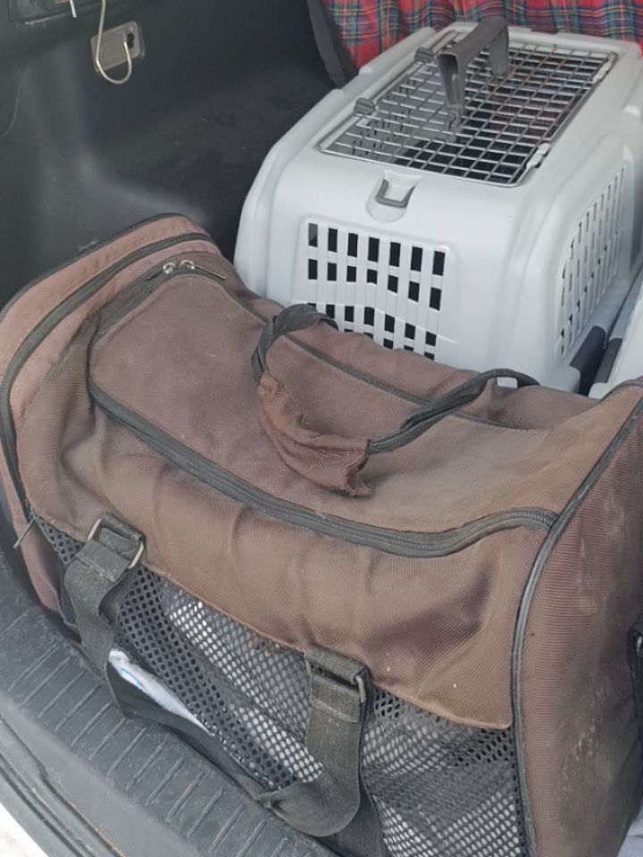 Alors rdv #vegetarian numéro 4 pour cett...