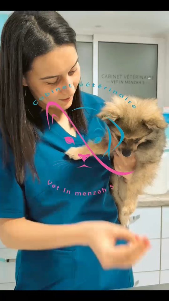 🐶💉 Importance de la vaccination et du...