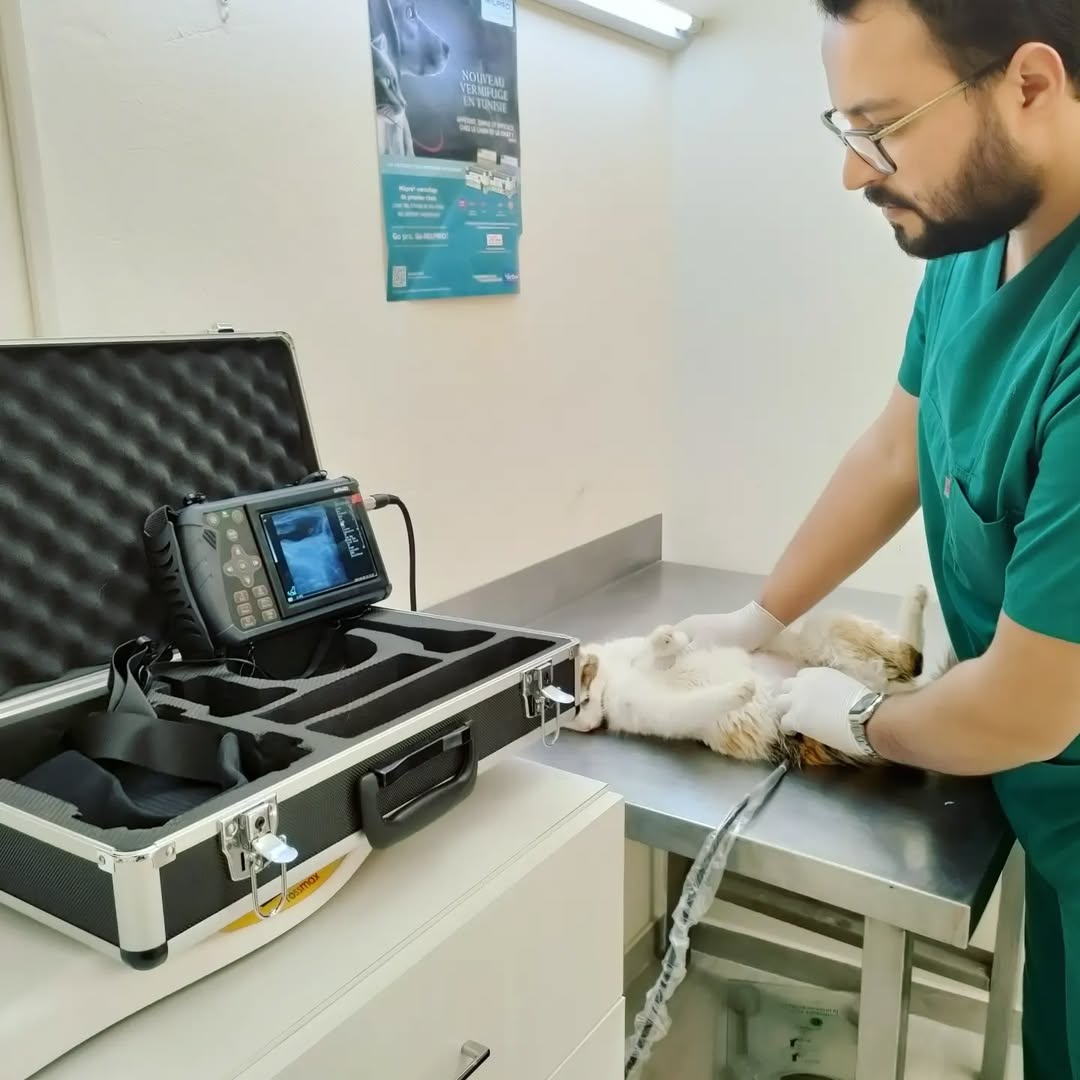 Pas de description disponible