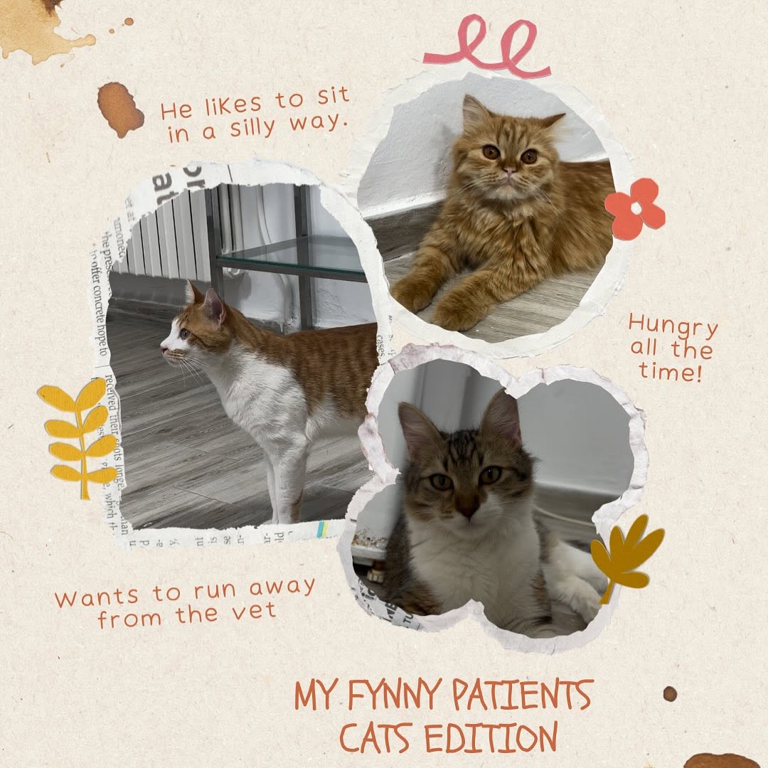 My patients are special 🌟🩷