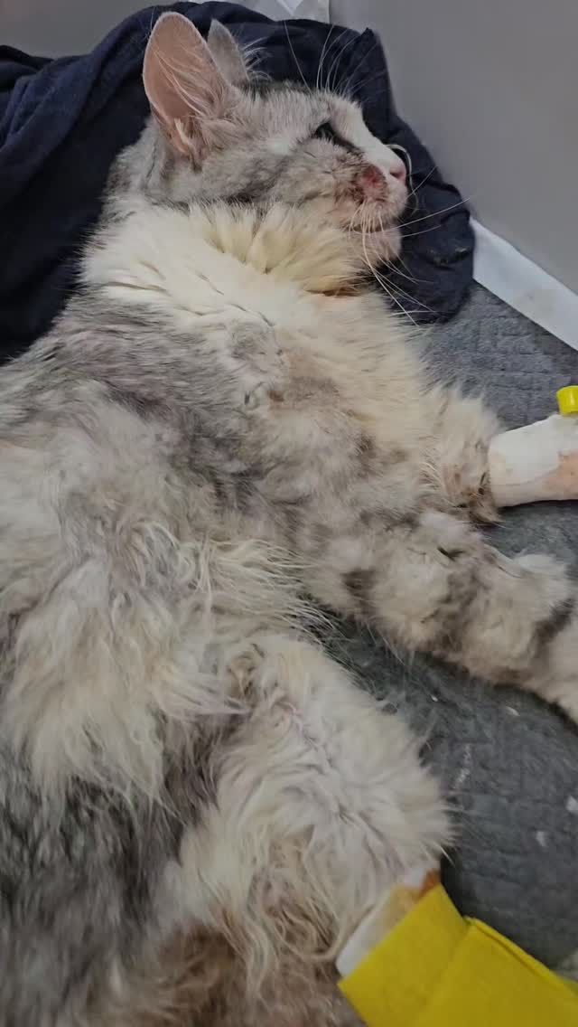 Aujourd’hui, la tristesse est lourde .....