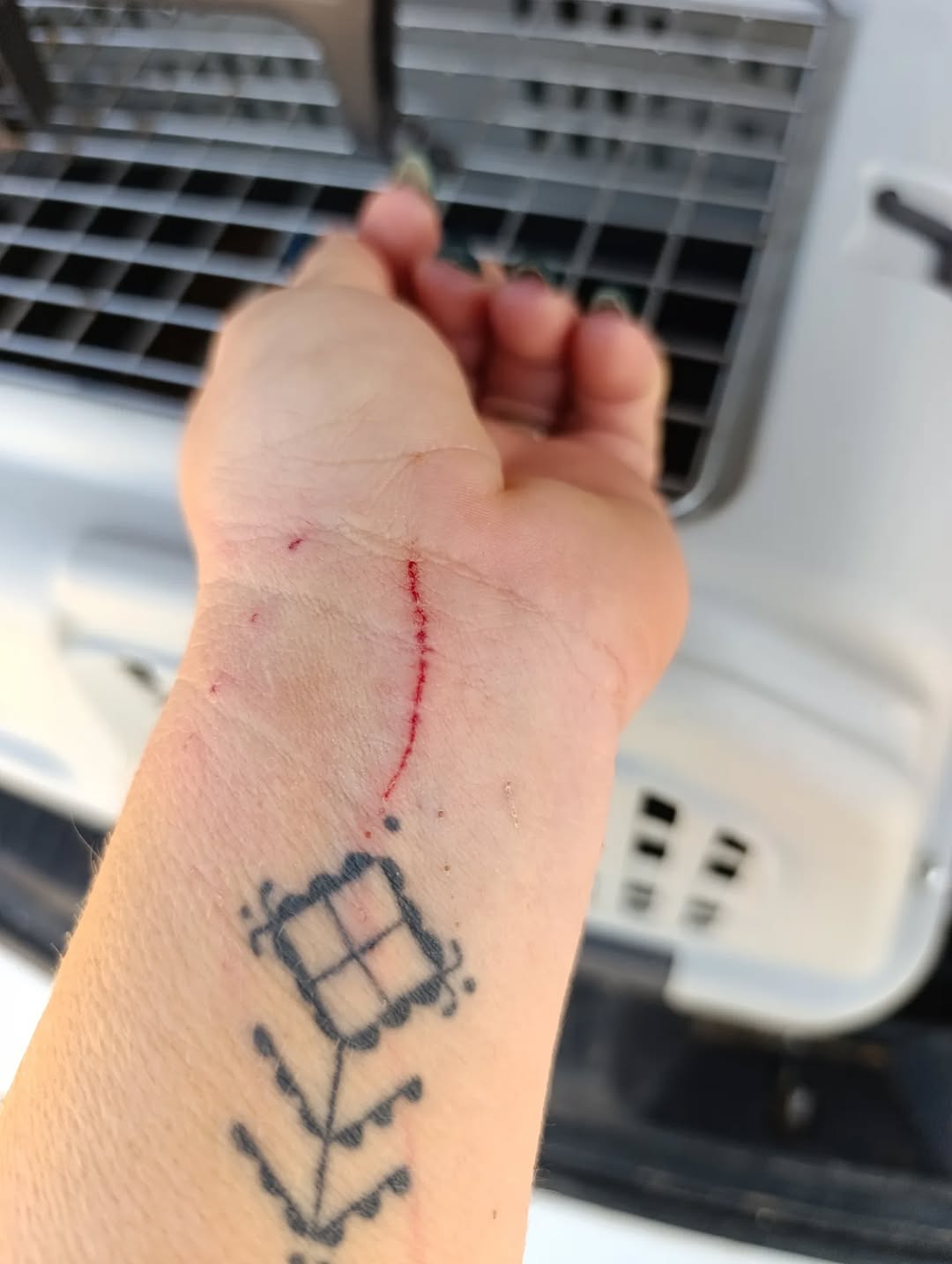 Une journée complètement chargée mais pl...