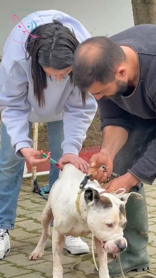 🐾 Carlos, une deuxième chance ❤️ Carlos...