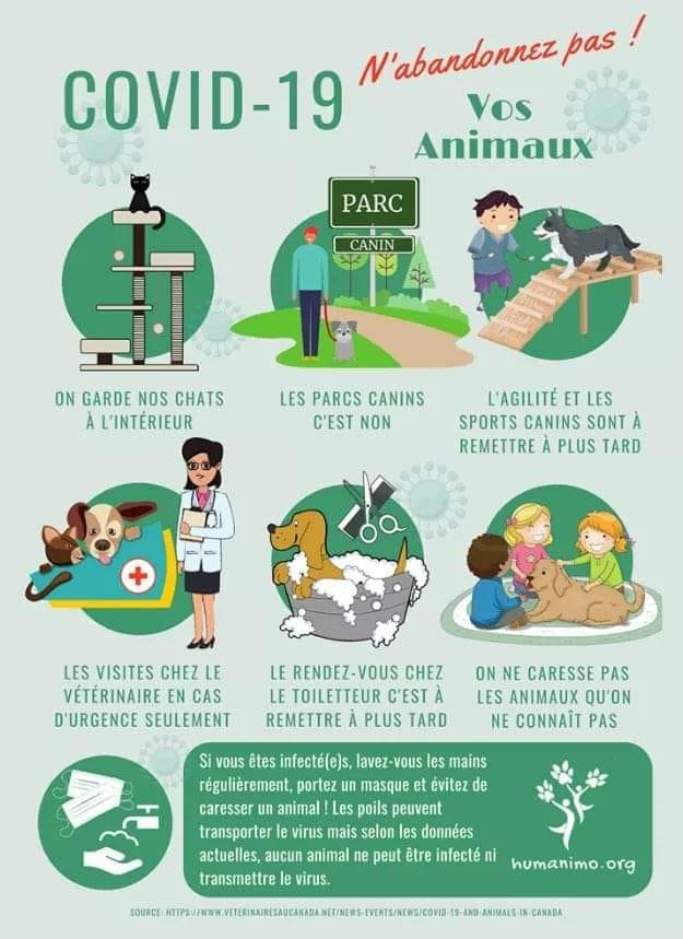 Pas de description disponible