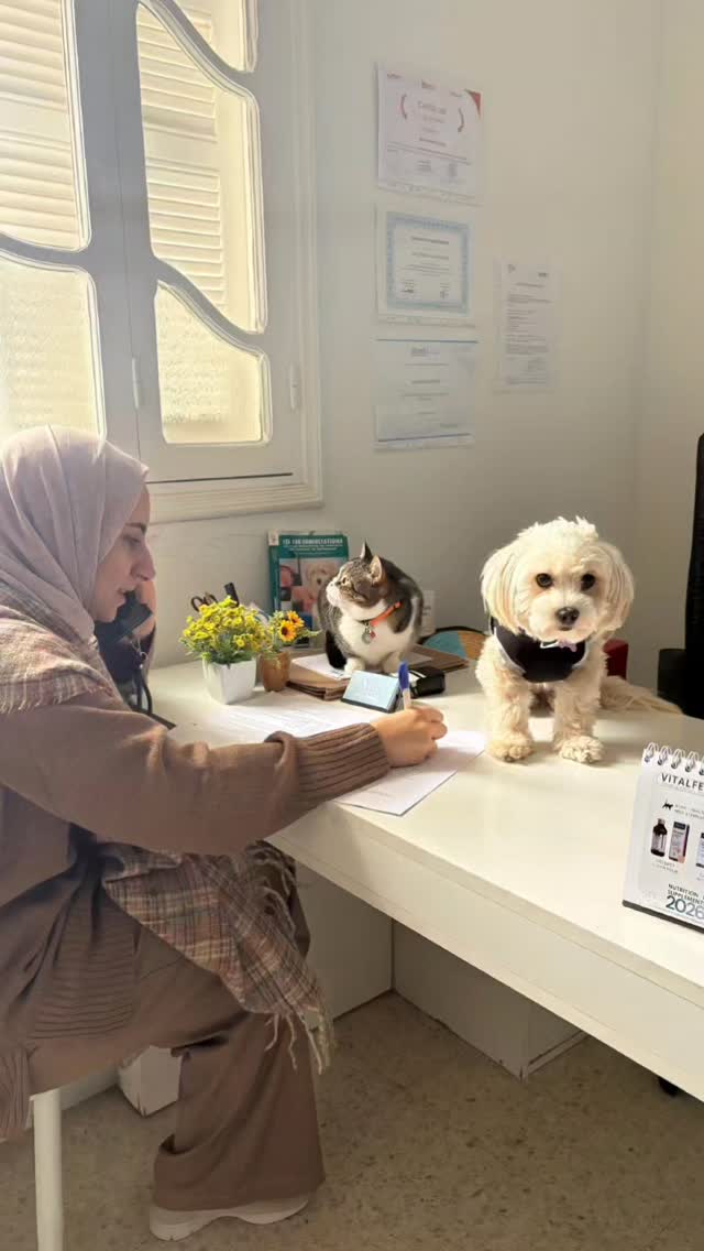 Et encore مكملين ..
فال initiation فال p...