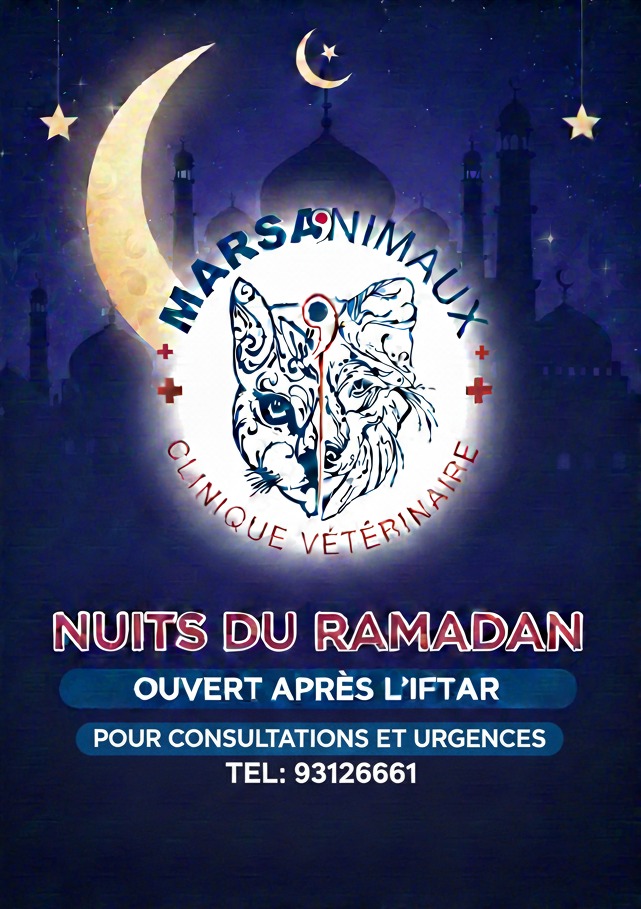 🌙 Ramadan : Nous sommes là pour vous ap...