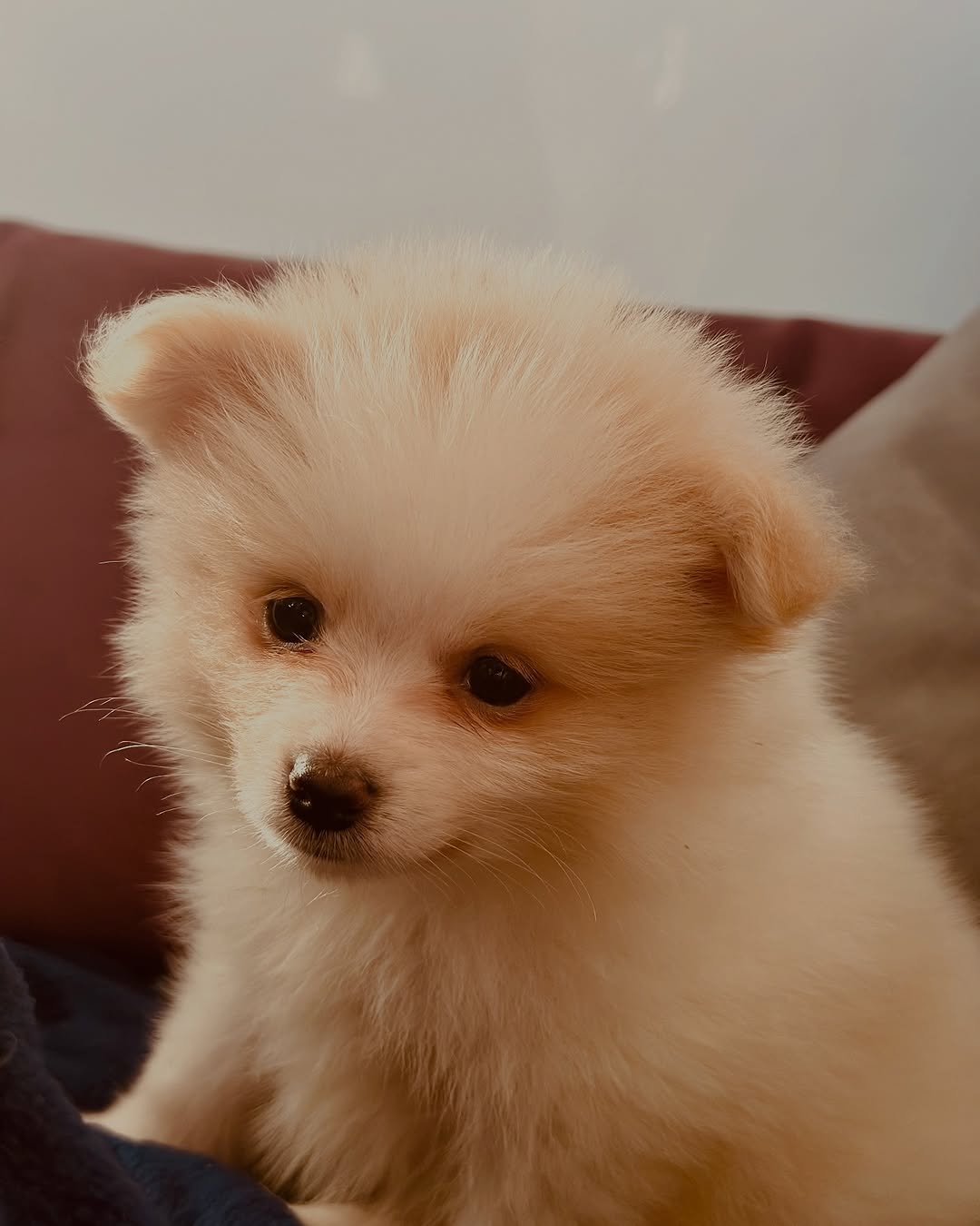 Un titre à cette photo ? ☺️