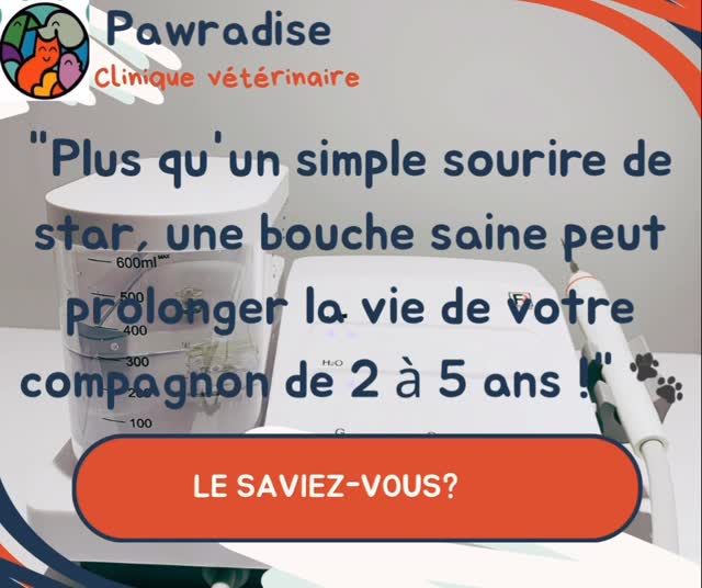Pas de description disponible