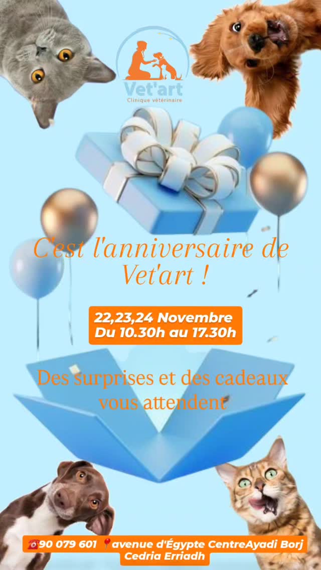 🎉 La Clinique vétérinaire Vet'art fête...