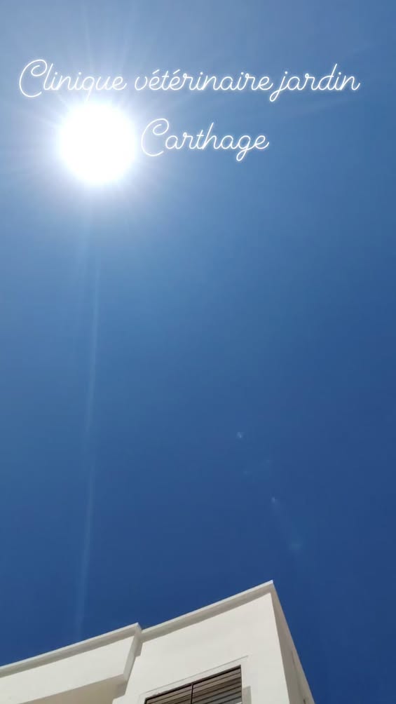 Pas de description disponible