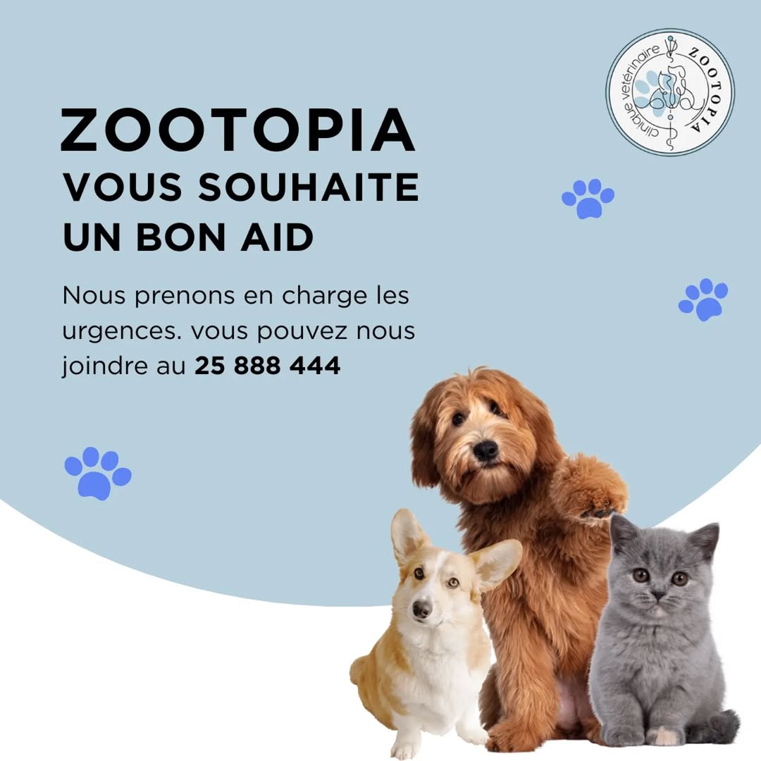 Bonne fête de l'Aid à vous et à vos compagnons à quatre pattes 🐾😻🥰

#cliniqueveterinairezootopia #urgenceveterinaire #aid