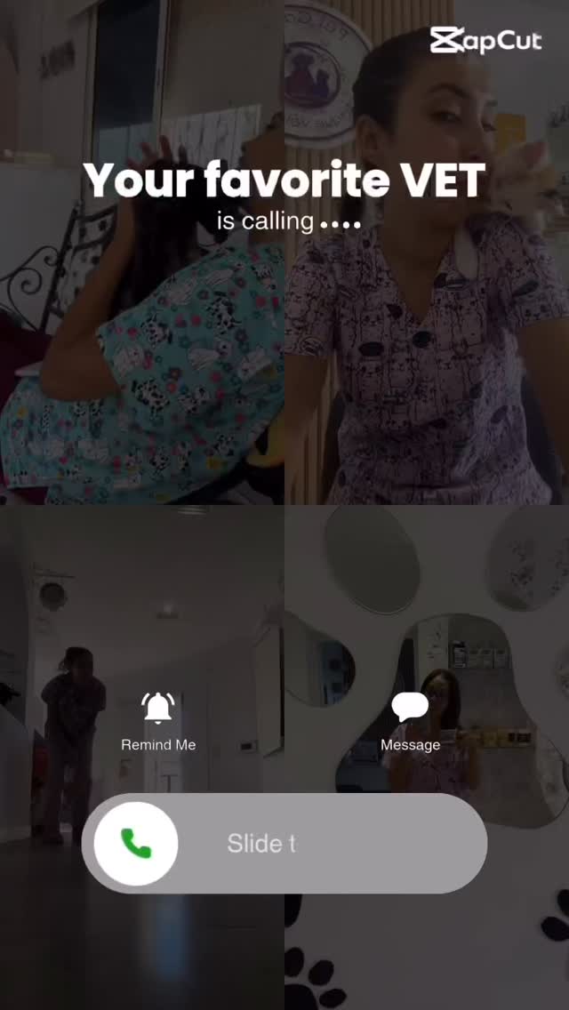 Who’s calling..??? #animal #pet #animals #animallovers #pets #petlovers