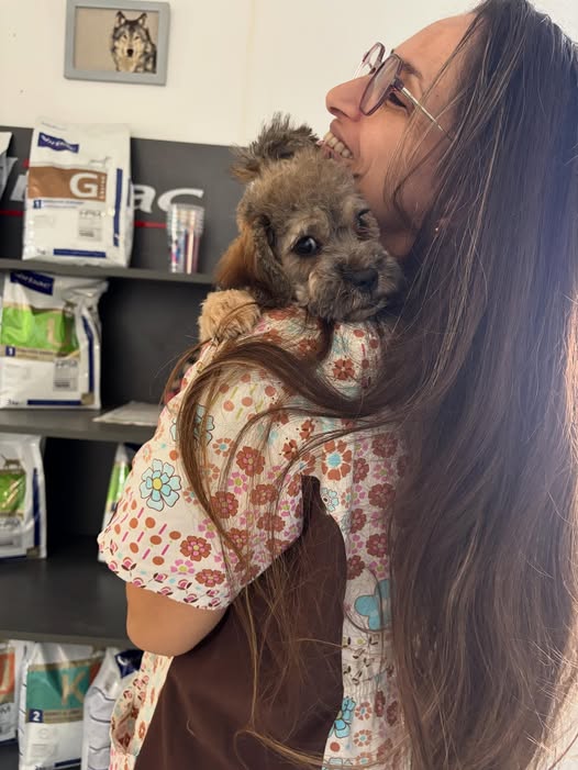 Sayeee popcorn à fait son premier toilet...