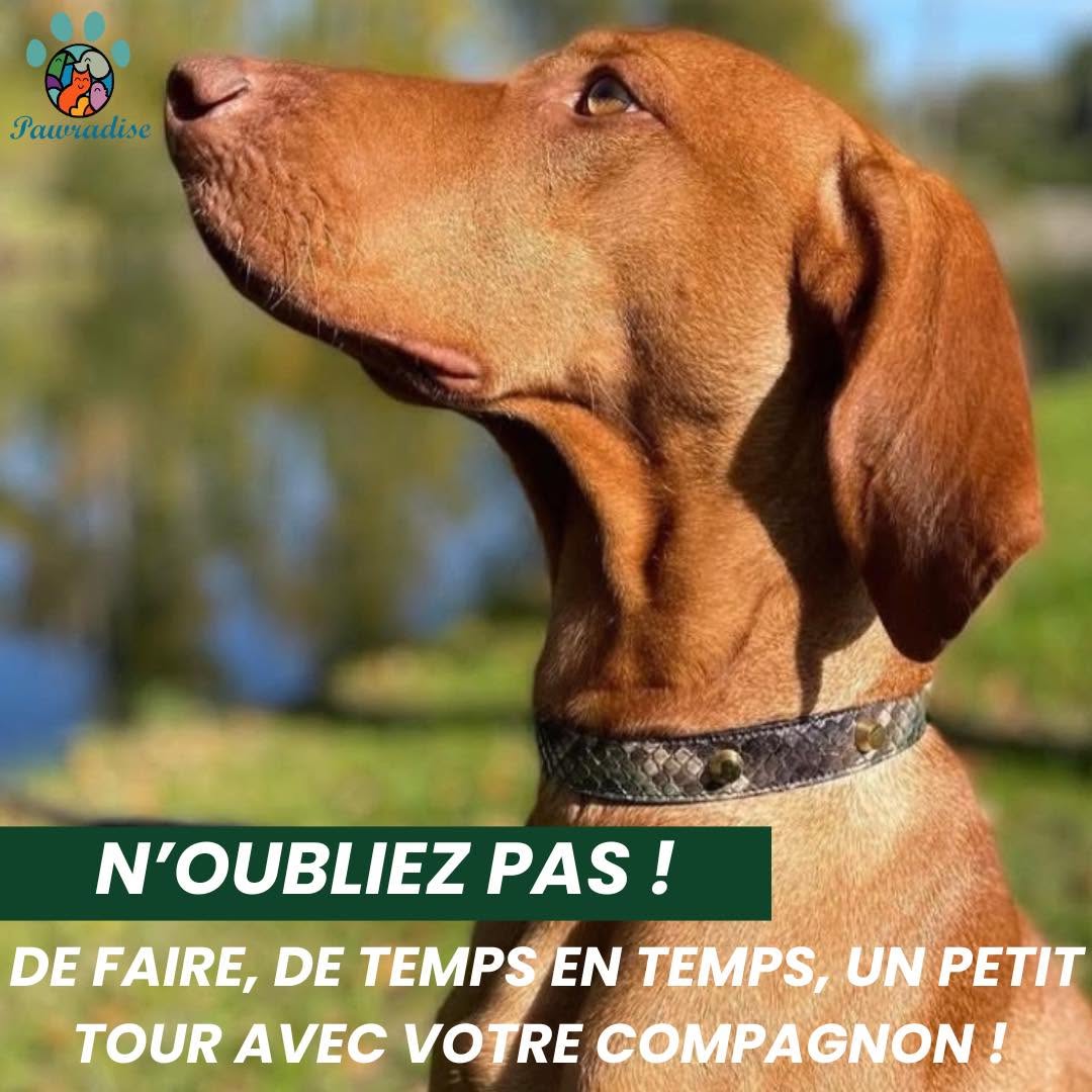 N’oubliez pas 🥰