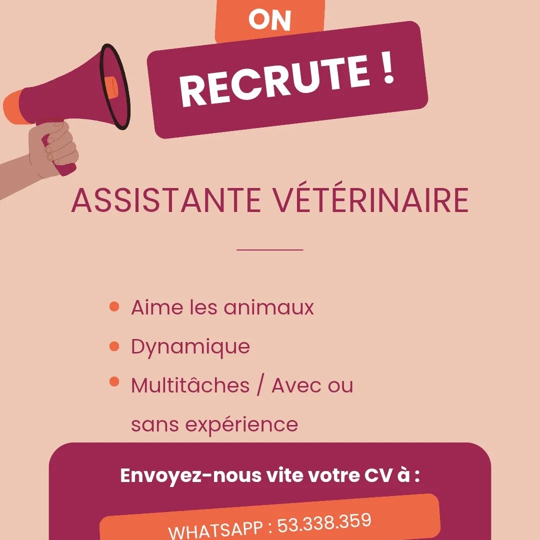 Pas de description disponible