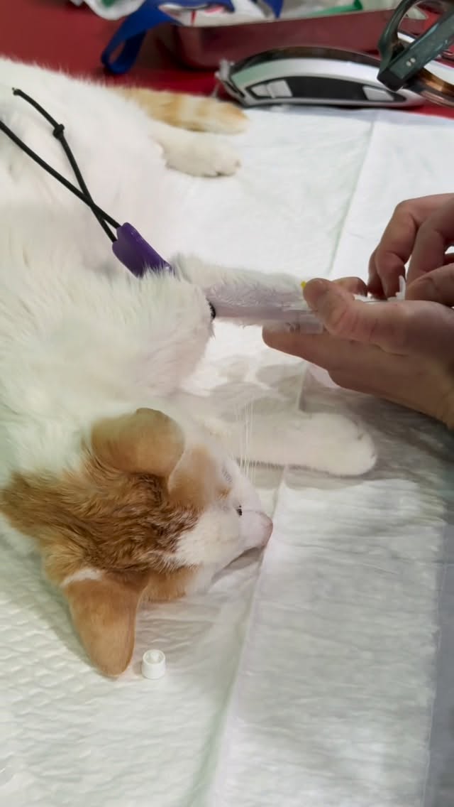 L’histoire de Brika, notre patient qui s...