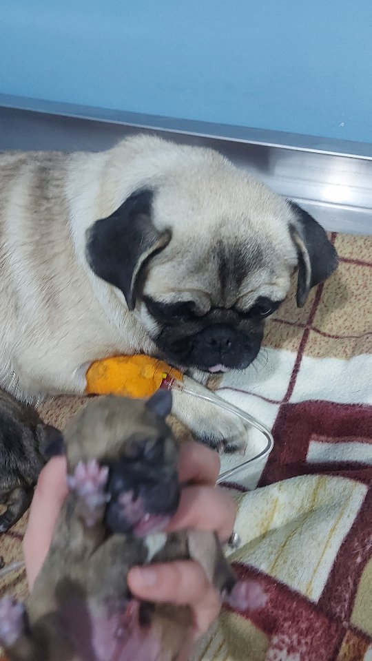 Des moments de tendresse avec Léa 🌸, su...