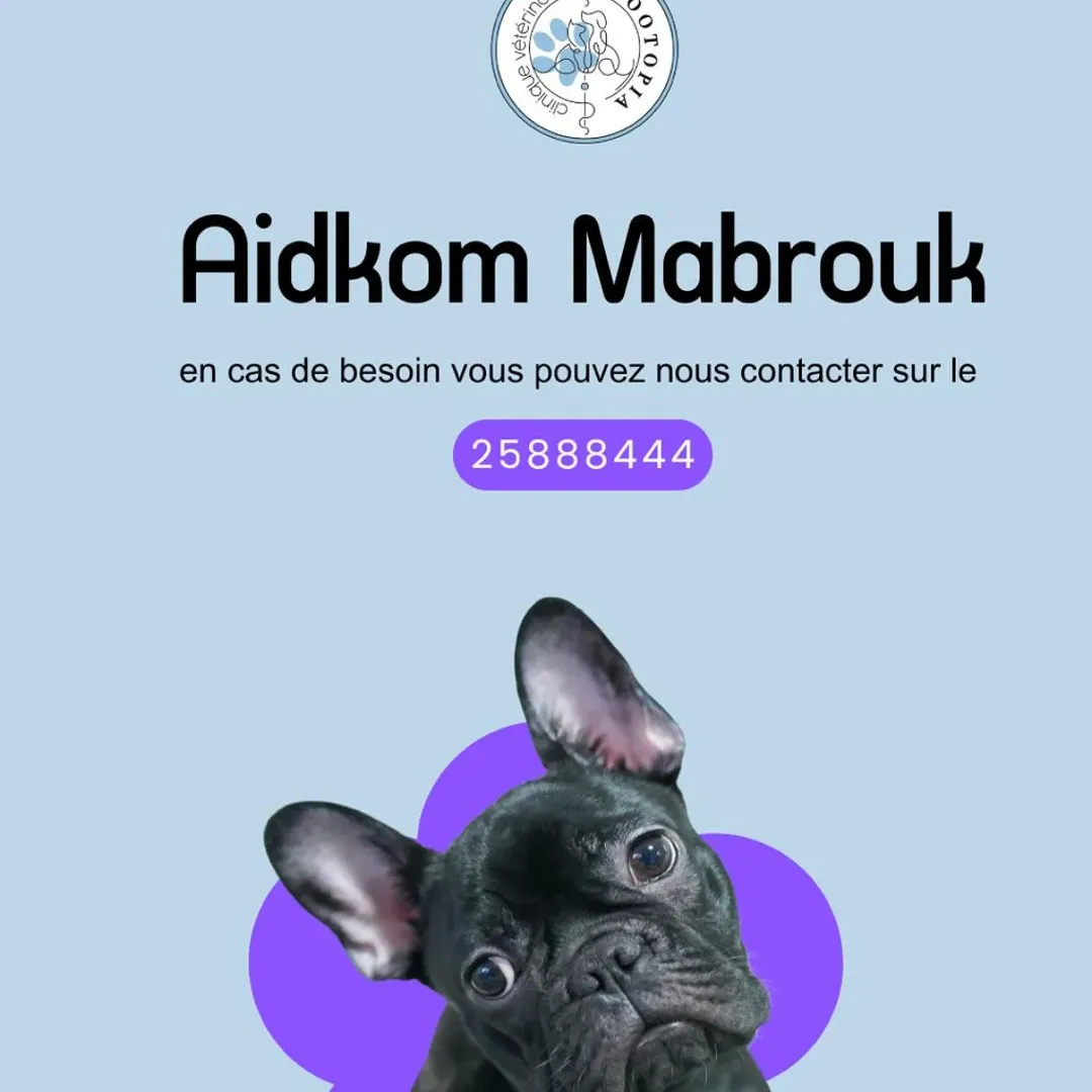 Zootopia vous souhaite une bonne fête de...