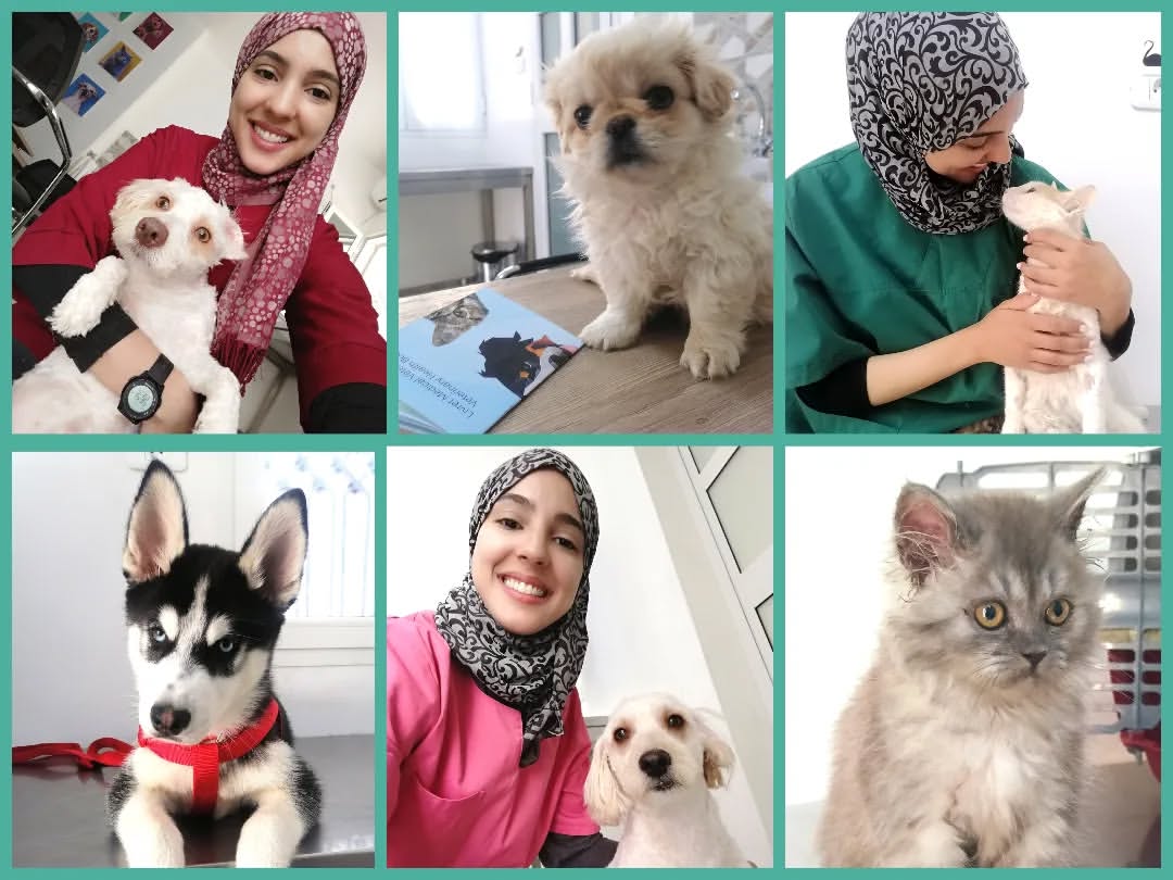 Notre cabinet fête son 2ème anniversaire ! 🎂🥳🎉
Joyeux anniversaire Cabinet Vétérinaire Pets' Vet 🐶🐕🦮🐕‍🦺🐩🐱🐈
Merci à tous ceux qui nous ont fait confiance 😊 
#birthday #happybirthday #cabinet #veterinary #veterinarymedicine #pets