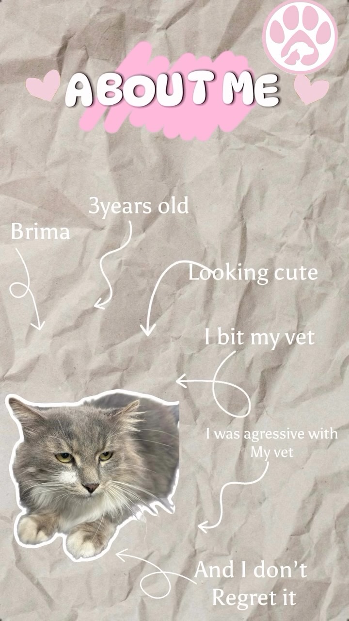 The little story of BRIMA 🩷
#animals#veto#paw #pets
