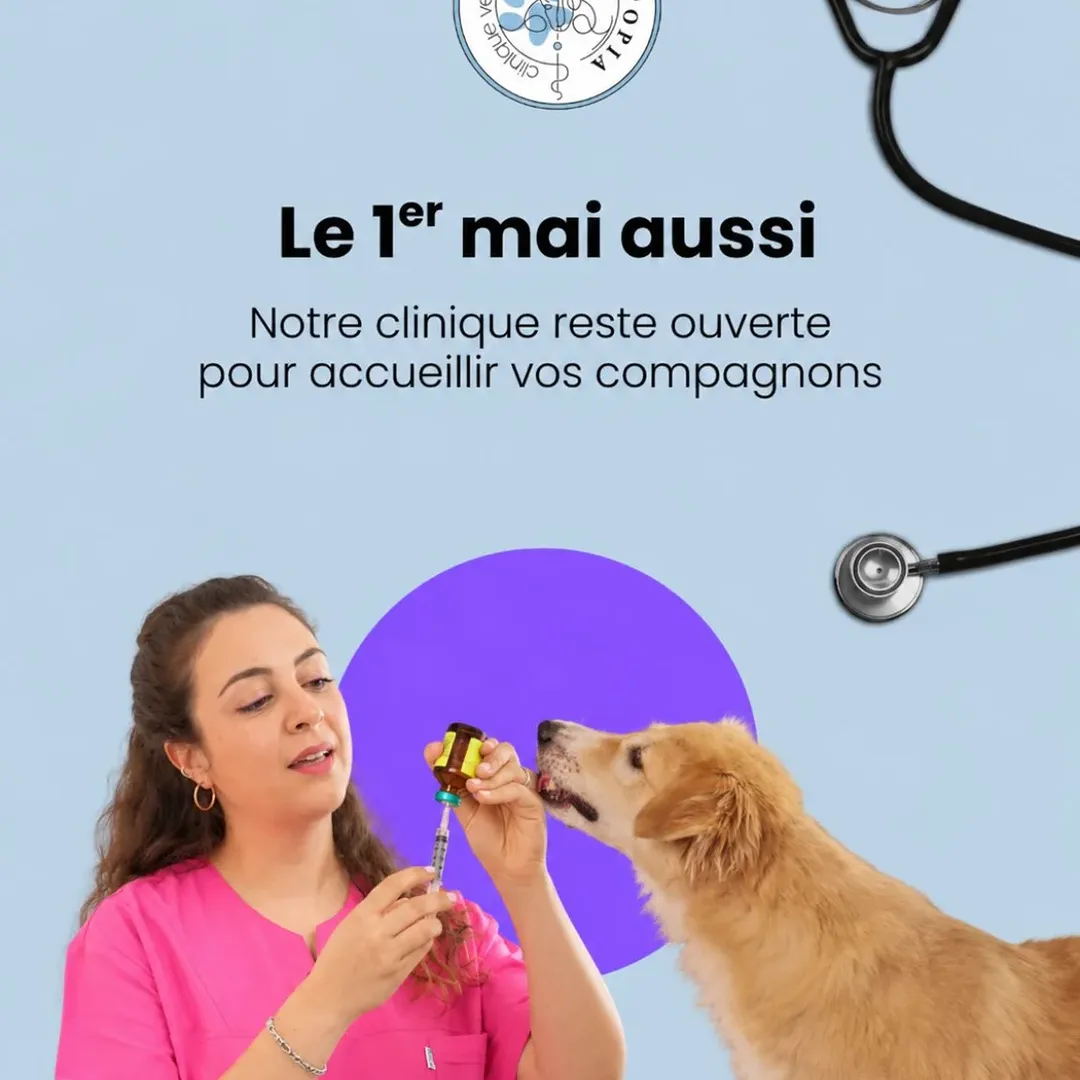 Nous fêtons le jour du Travail… par le t...