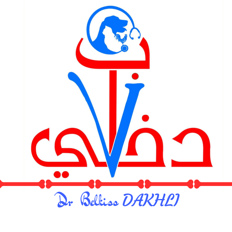 Clinique vétérinaire Dakhli